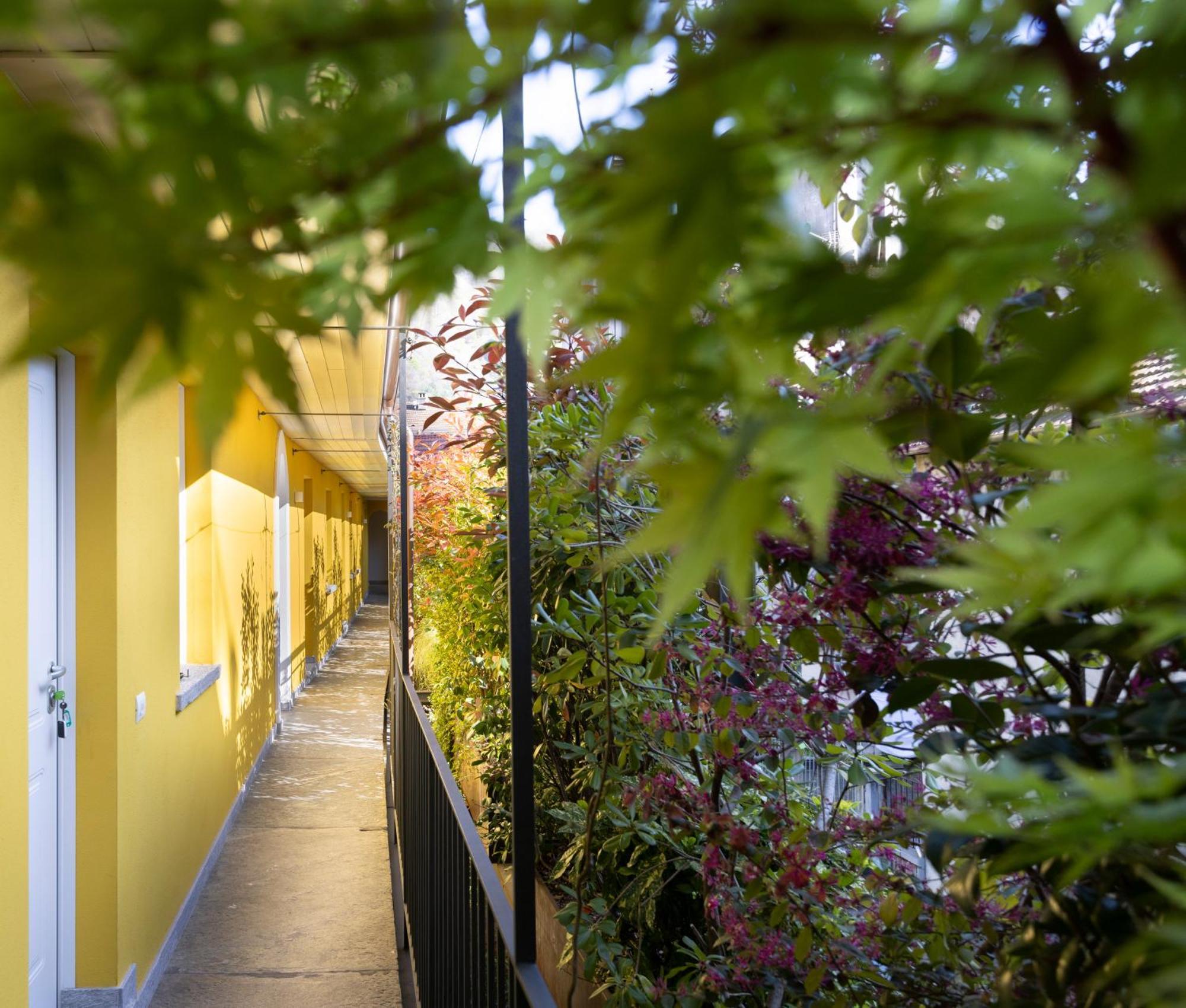 Residence Casa Coppa Appartamento Ivy Omegna Kültér fotó