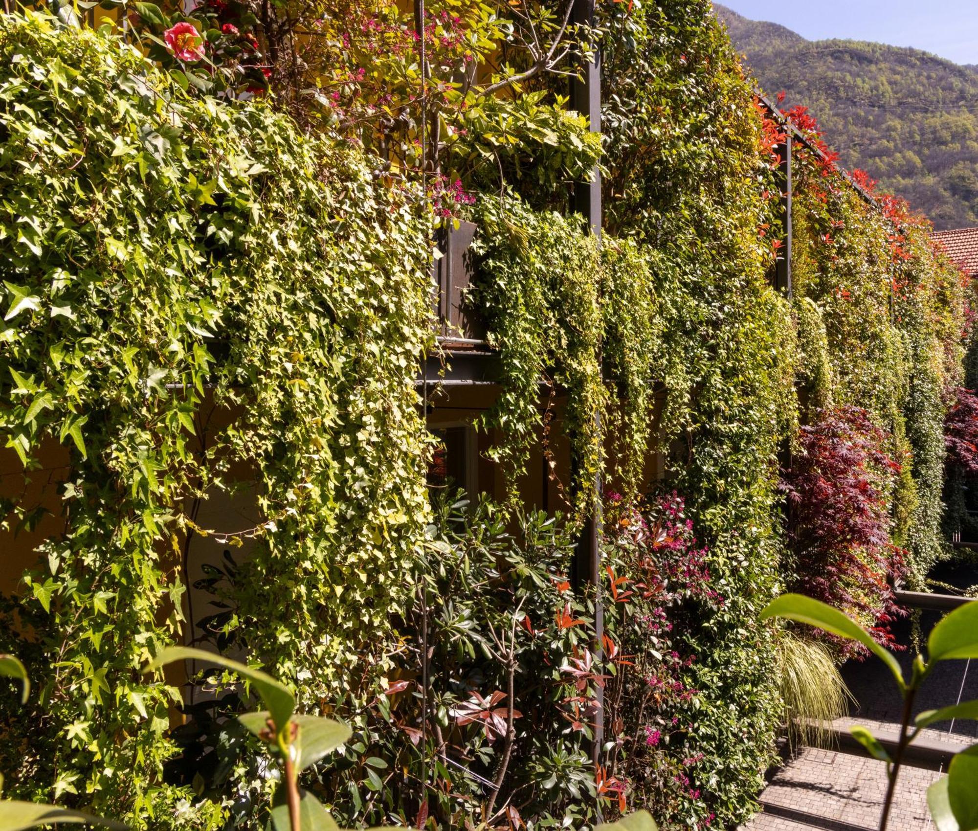 Residence Casa Coppa Appartamento Ivy Omegna Kültér fotó