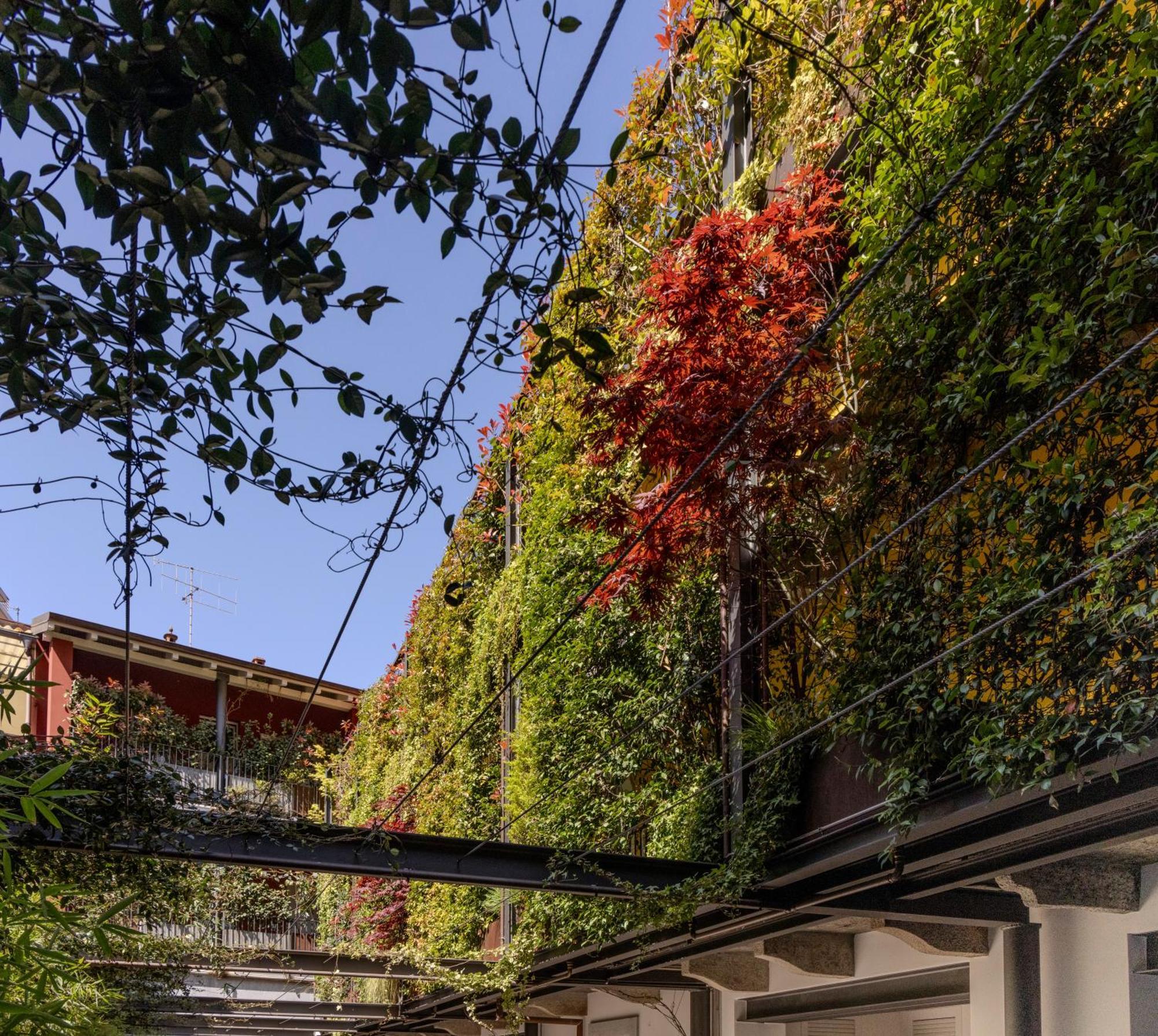 Residence Casa Coppa Appartamento Ivy Omegna Kültér fotó